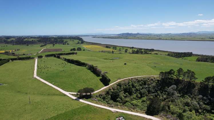 2611 Pouto Road Te Kopuru_7