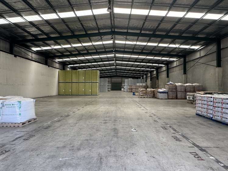 14B Harvard Way Mt Maunganui_4