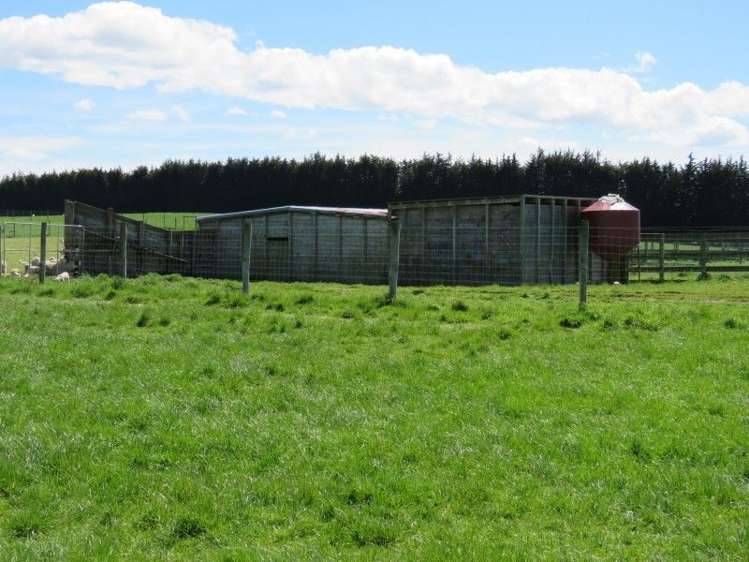 136 Kapuka North Road Wyndham Surrounds_6