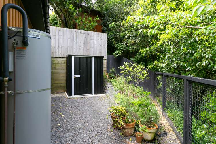 38 Balfour Street Mornington_16