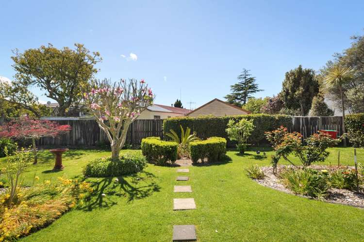 9 Grosvenor Place Katikati_11