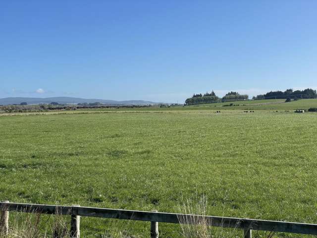 488 Thornbury Waimatuku Road Thornbury_2