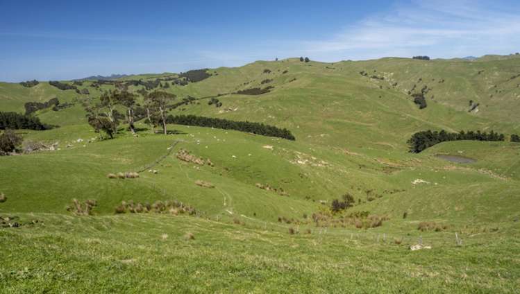 7 Hikawera Road Hinakura_18