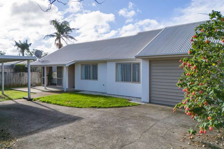 11b Gray Street Katikati_18