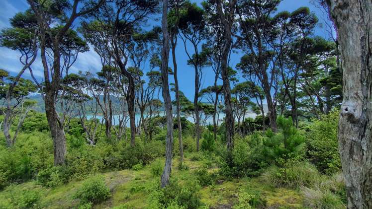 Lot 105 Hideaway Cove Kawau Island_9