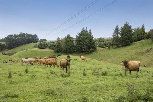 87 Busby Road Hauraki Surrounds_4