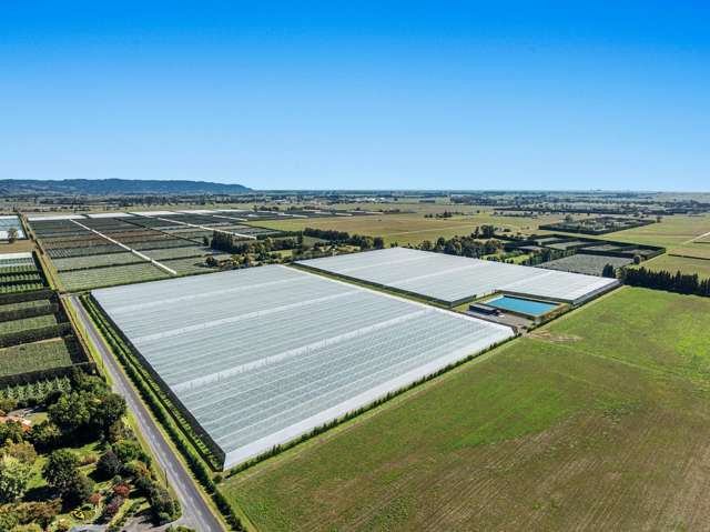 565 Western Drain Road Edgecumbe_2