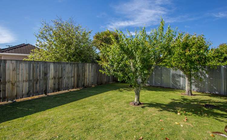 25a Graham Road Inner Kaiti_14