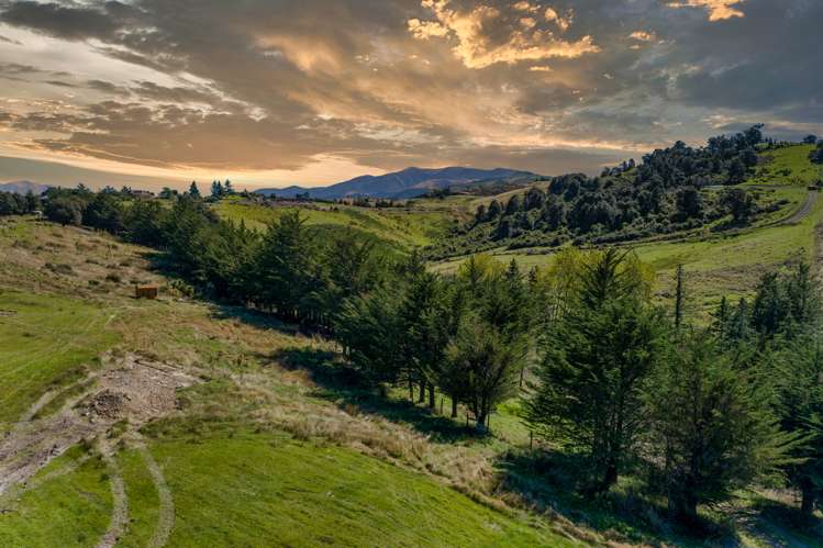 163 Mill Road Oxford_7