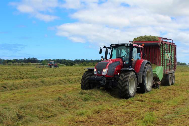 23 Rogan Avenue Helensville_13