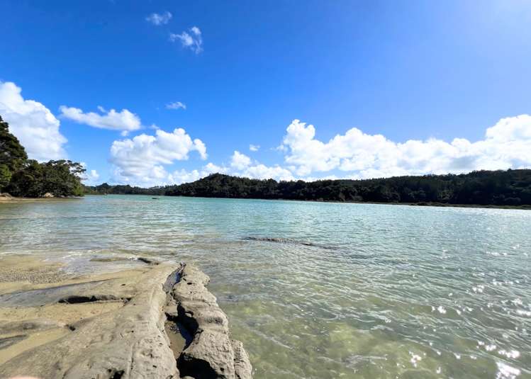 17 Okura River Road Okura_14