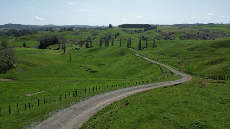 953 State Highway 3 Piopio_15