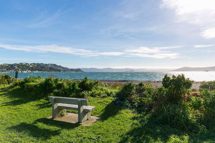 50 Forres Street Seatoun_18