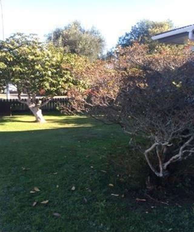 69 Jellicoe Road Manurewa_4