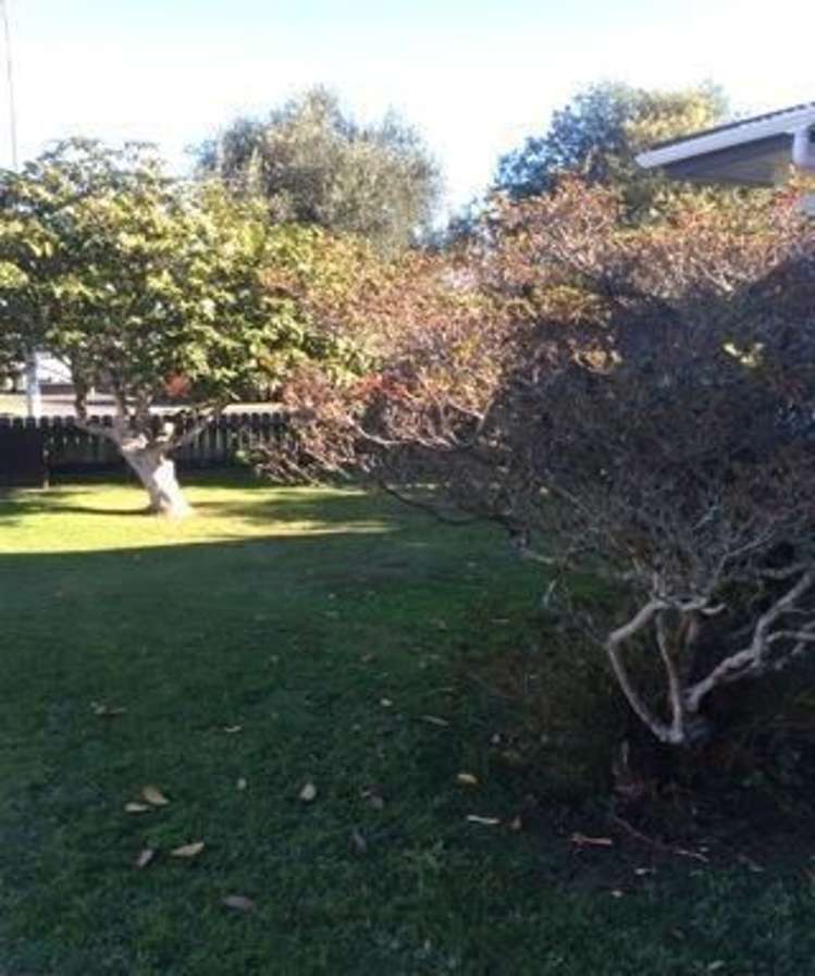 69 Jellicoe Road Manurewa_4