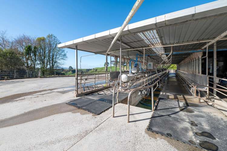 471 Poutakataka Road Ngakuru_6