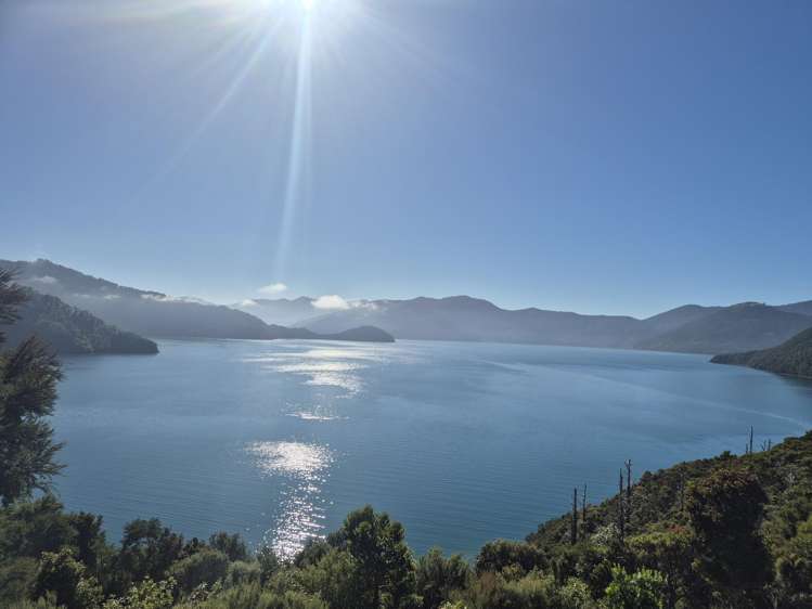448 Tamuakawawe Bay Marlborough Sounds_55