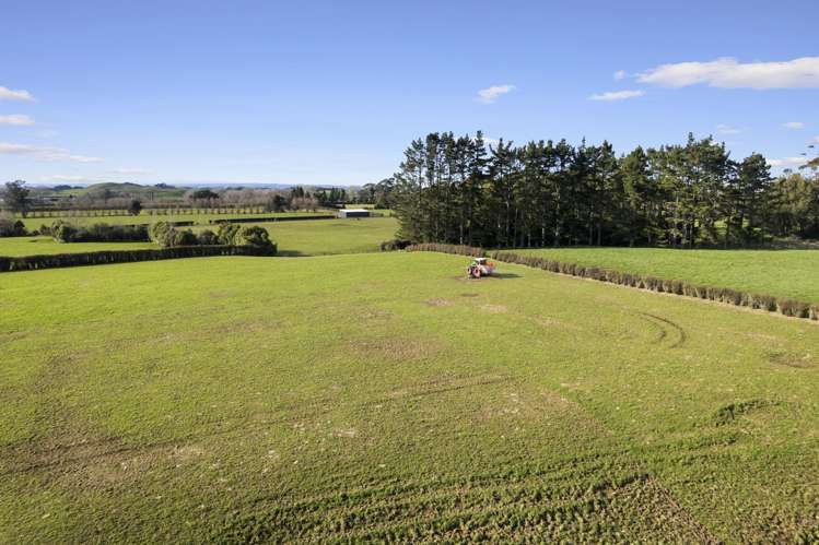 253 Cross Road Te Popo_3