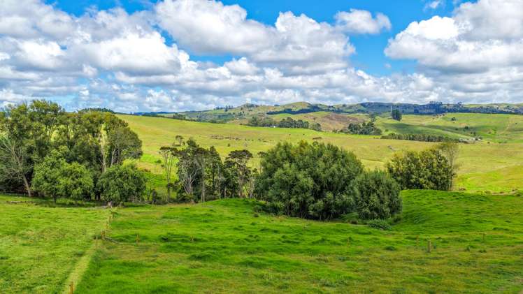 103A Ginn Road Huntly_14