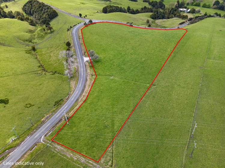 Pukehuia Road Tangiteroria_4