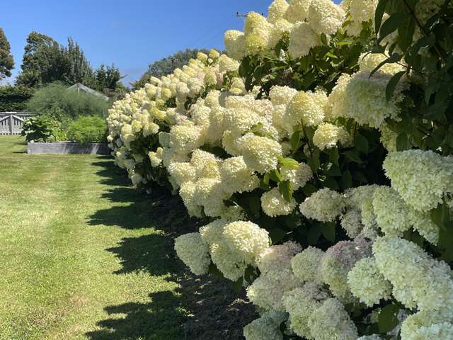 1199 Egmont Road Egmont Village_4