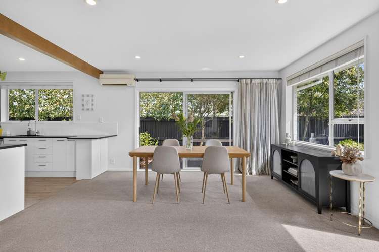 2/21A Domain Terrace Spreydon_8