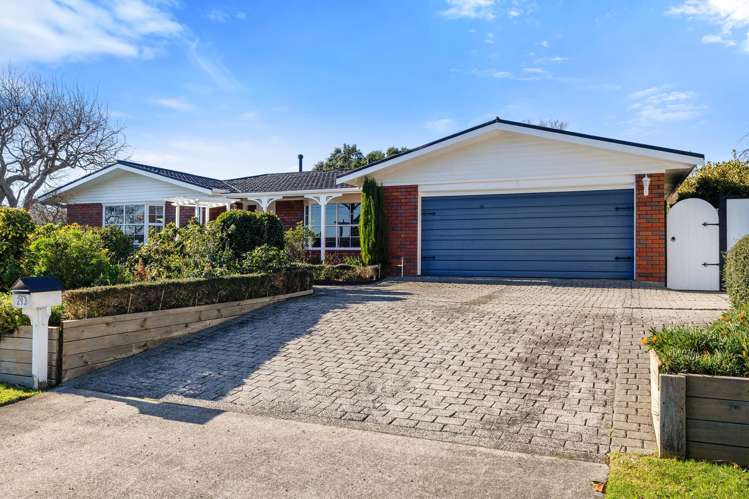 293 Mangorei Road Merrilands_14