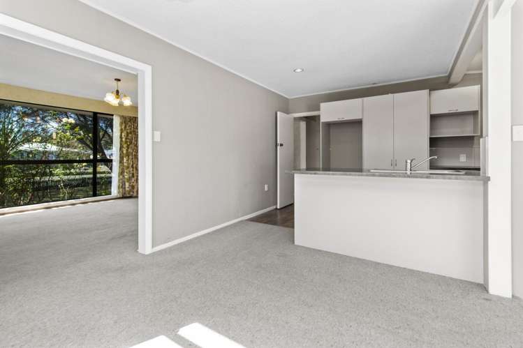 4 Winstone Avenue Chartwell_15