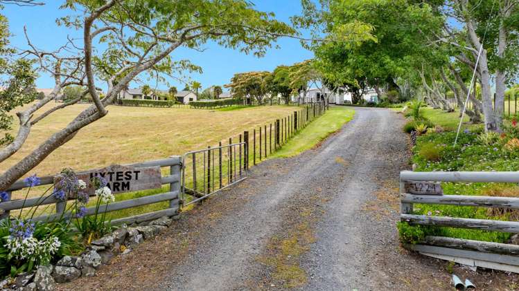 1224 State Highway 16 Waimauku_29