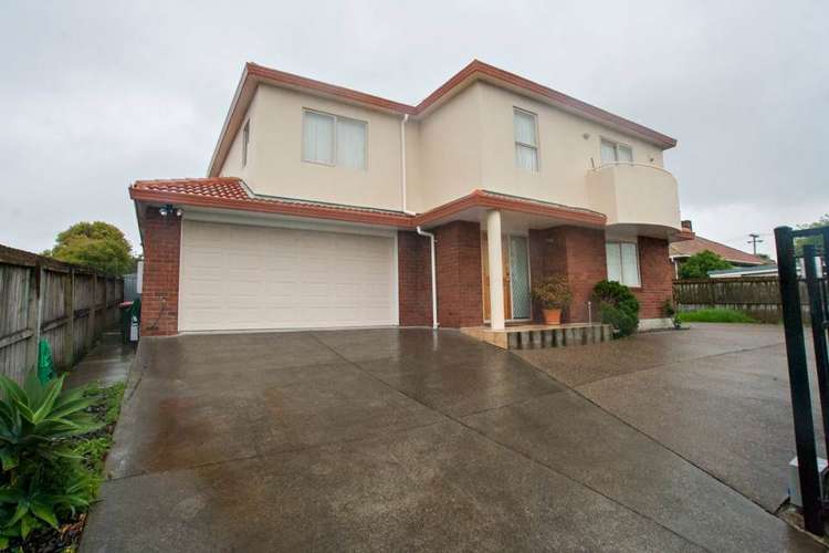 17e Cradock Street Avondale_17