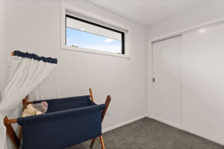 7 Vampire Road Waldronville_15