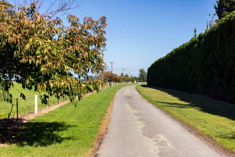 1329 Wards Road Darfield_29