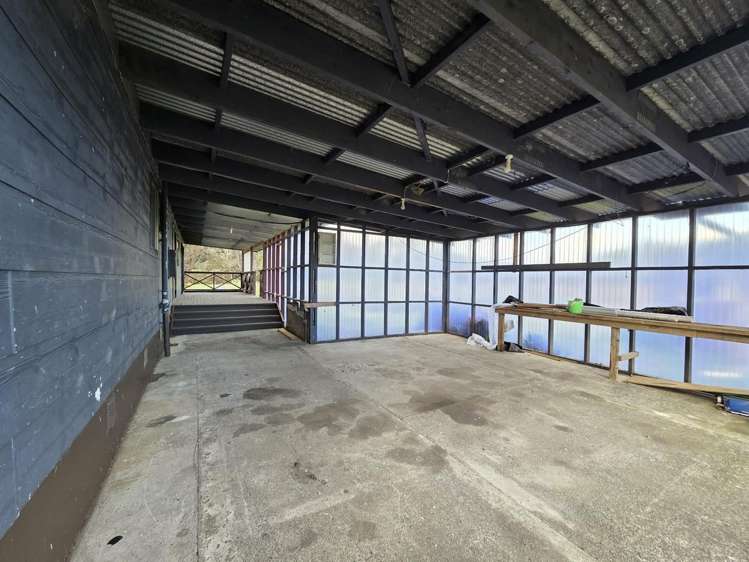 142 Roger Road Taheke_19