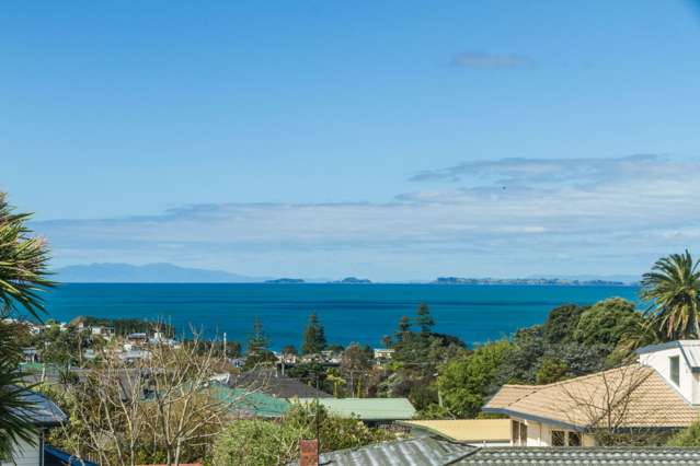 55 Hastings Road Mairangi Bay_4