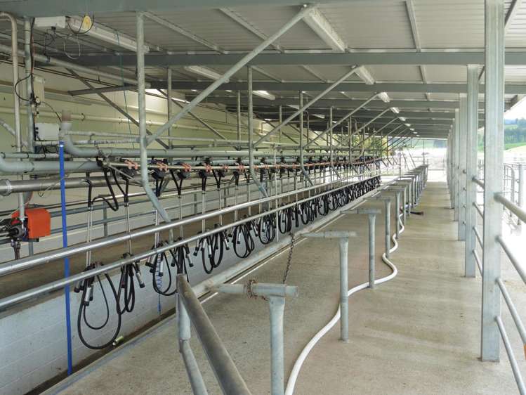 399 Gualter Road Geraldine_3