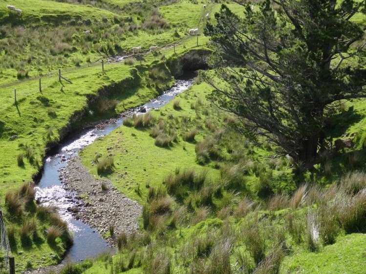 378 Putara Road Eketahuna_13