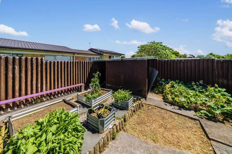 19 Jordan Road Mangere_17