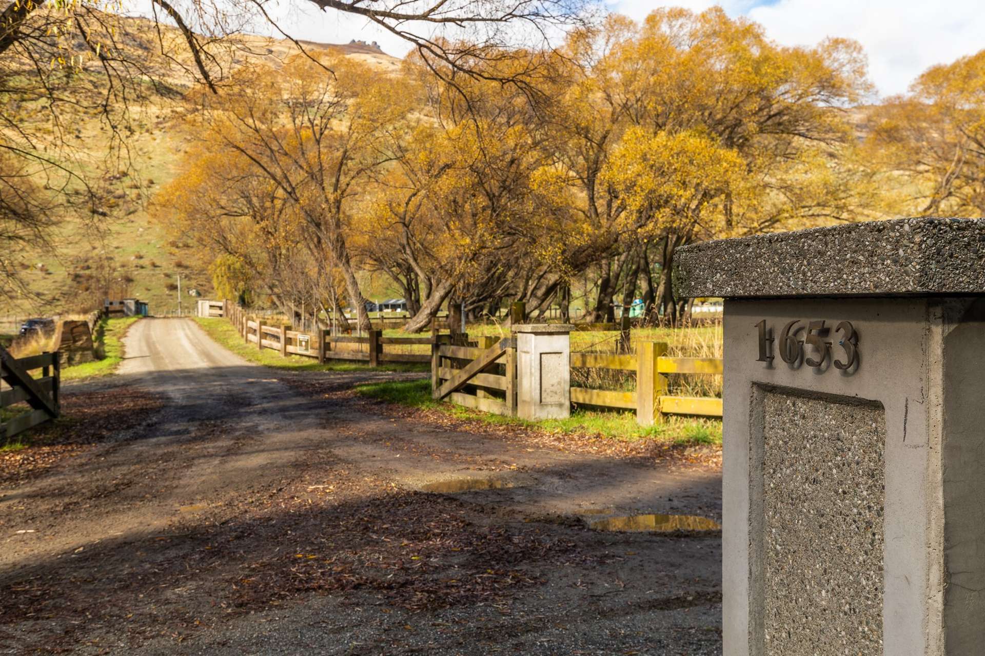 1653 Cardrona Valley Road Cardrona_0