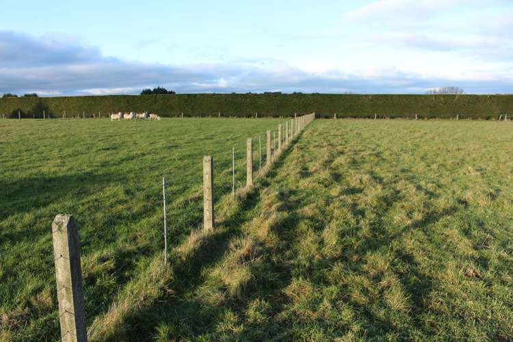 33 Manse Street Edendale_4