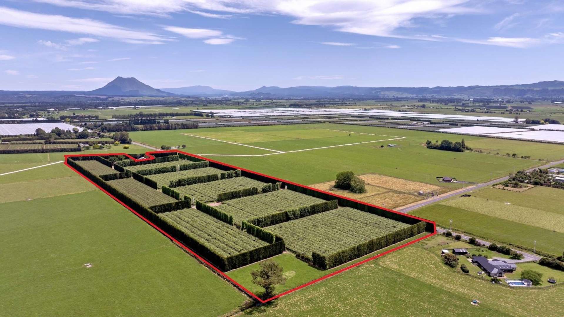 469 Western Drain Road Edgecumbe_0