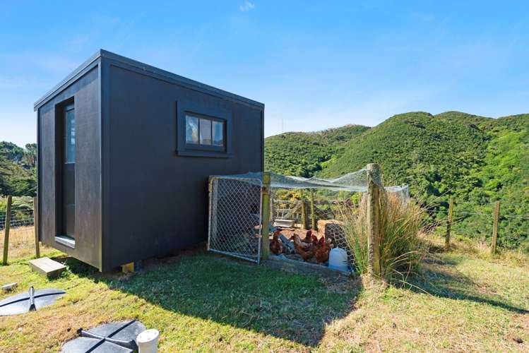 174 Makara Road Makara_30