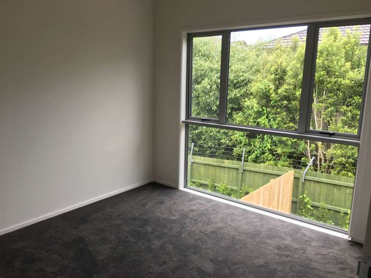 17/45 Karepiro Drive Stanmore Bay_11