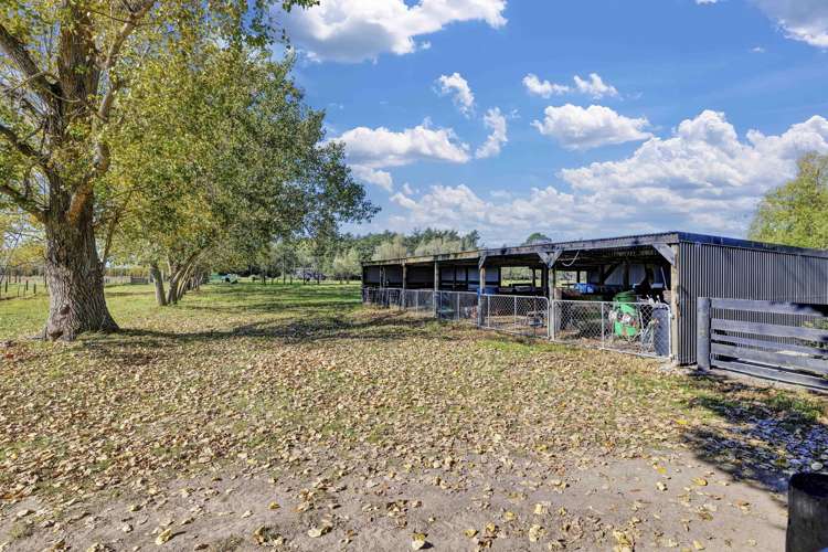 1136 Tram Road Swannanoa_41