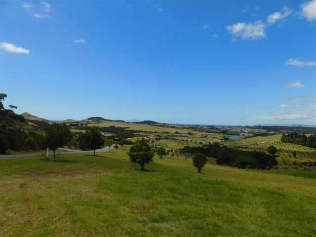 Cove Road Mangawhai_4