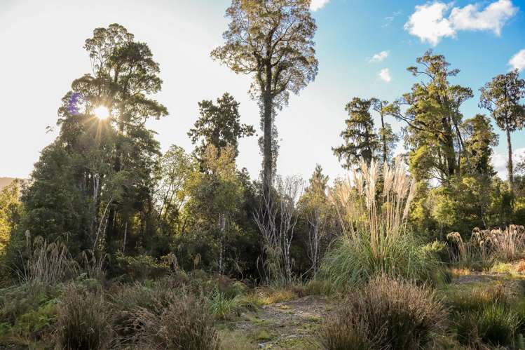 172 Clifton Road Kaiata_22