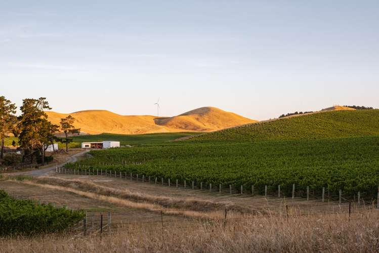 217 Caseys Road Seddon_19