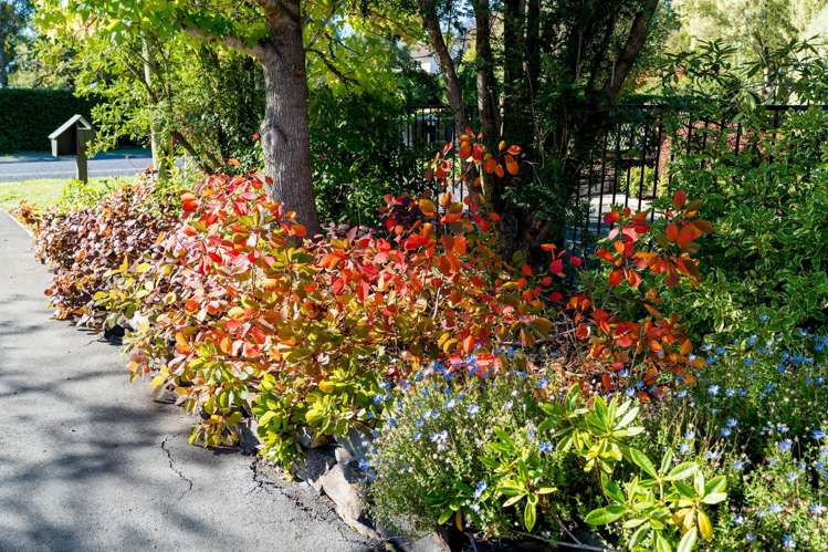 6 Riccarton Road East East Taieri_35