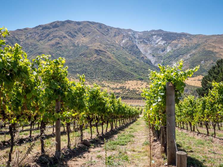 2116 Gibbston Highway Gibbston_8