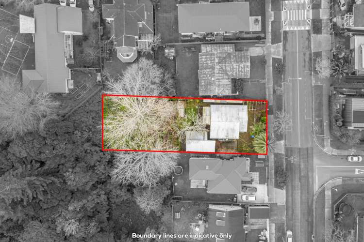 57 Meadowbank Road Meadowbank_10