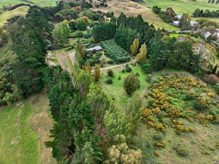 1001 Kahutara Road Kahutara_12